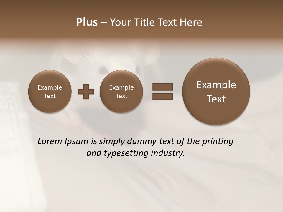 A White Rat Sitting On Top Of A Bed PowerPoint Template