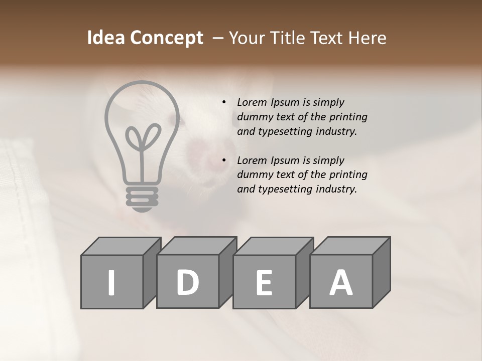 A White Rat Sitting On Top Of A Bed PowerPoint Template