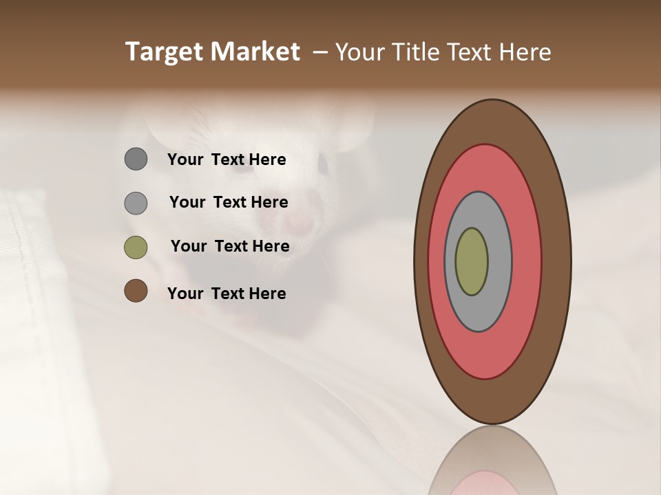 A White Rat Sitting On Top Of A Bed PowerPoint Template