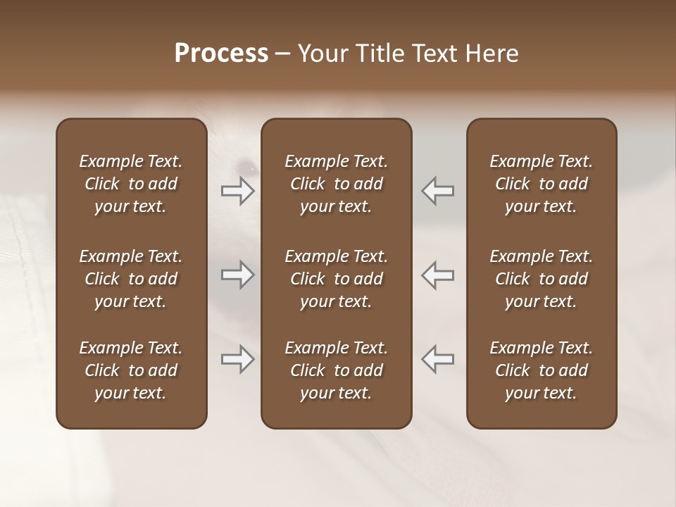 A White Rat Sitting On Top Of A Bed PowerPoint Template