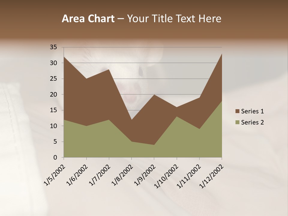 A White Rat Sitting On Top Of A Bed PowerPoint Template