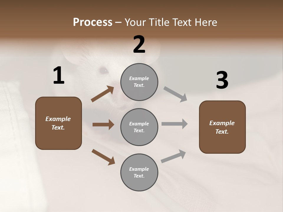 A White Rat Sitting On Top Of A Bed PowerPoint Template