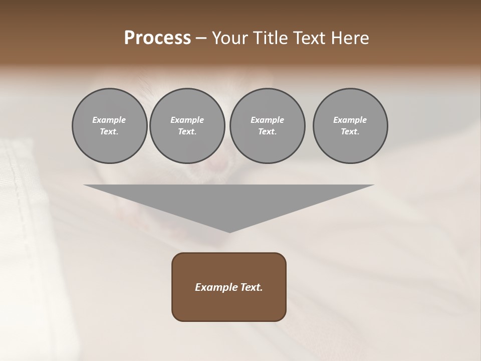 A White Rat Sitting On Top Of A Bed PowerPoint Template