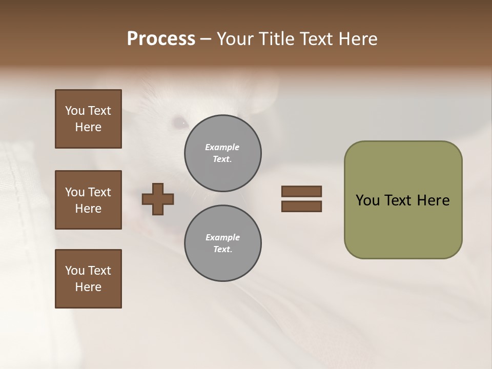 A White Rat Sitting On Top Of A Bed PowerPoint Template