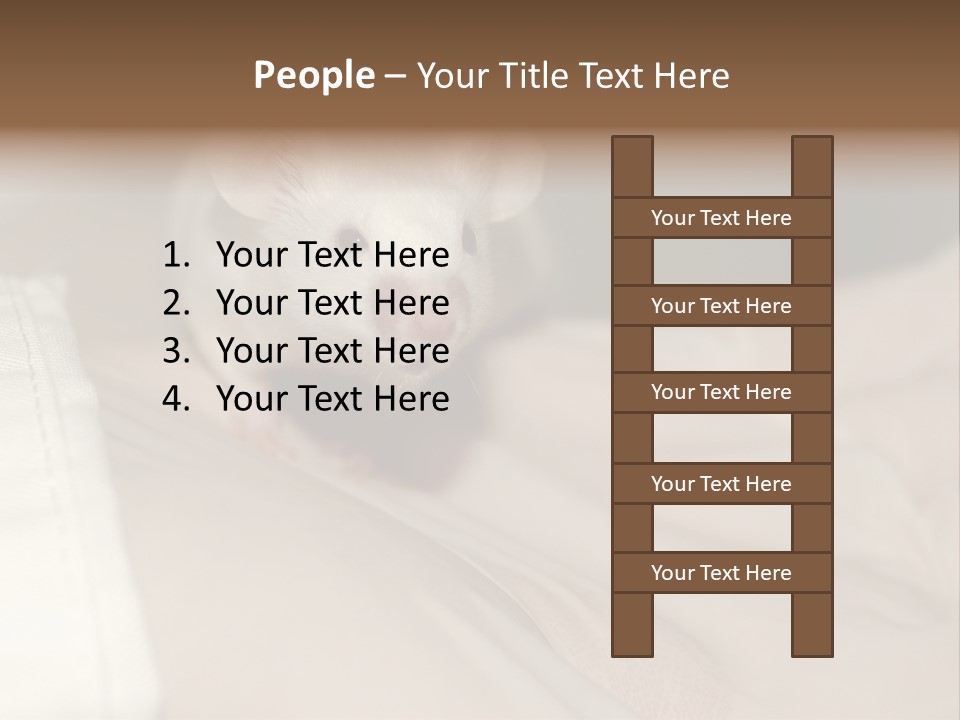 A White Rat Sitting On Top Of A Bed PowerPoint Template