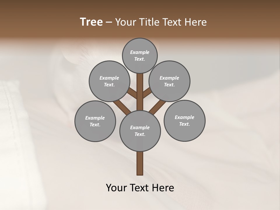 A White Rat Sitting On Top Of A Bed PowerPoint Template