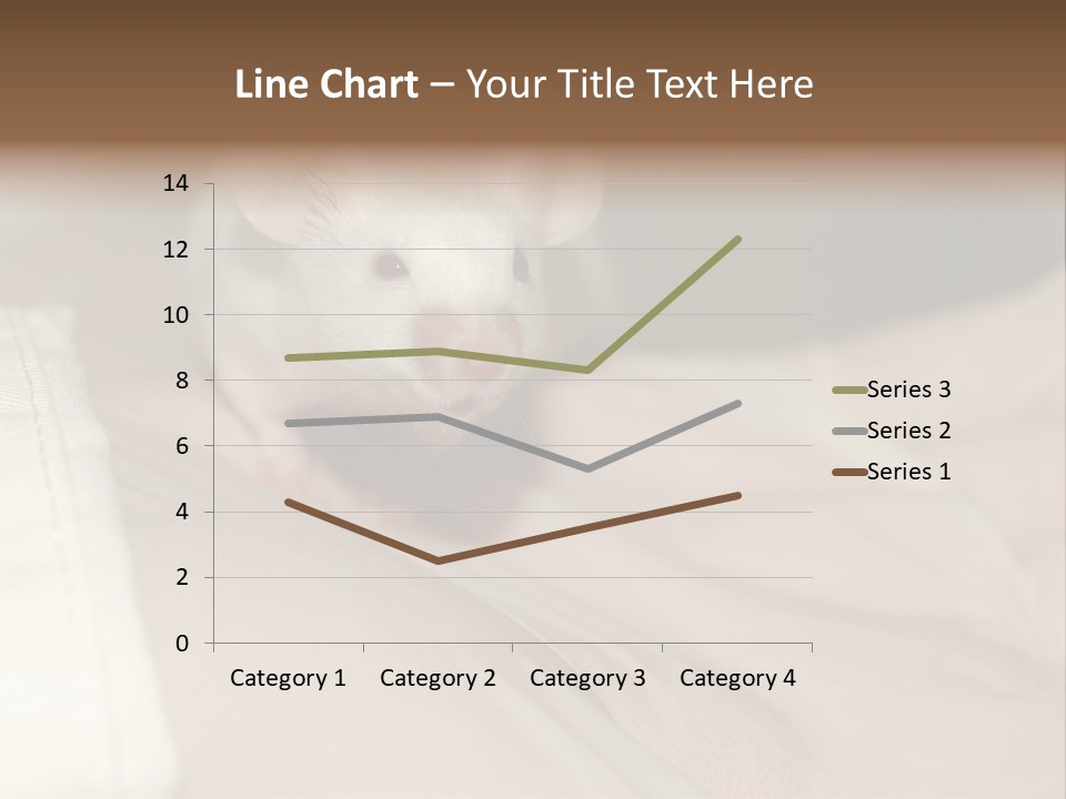A White Rat Sitting On Top Of A Bed PowerPoint Template