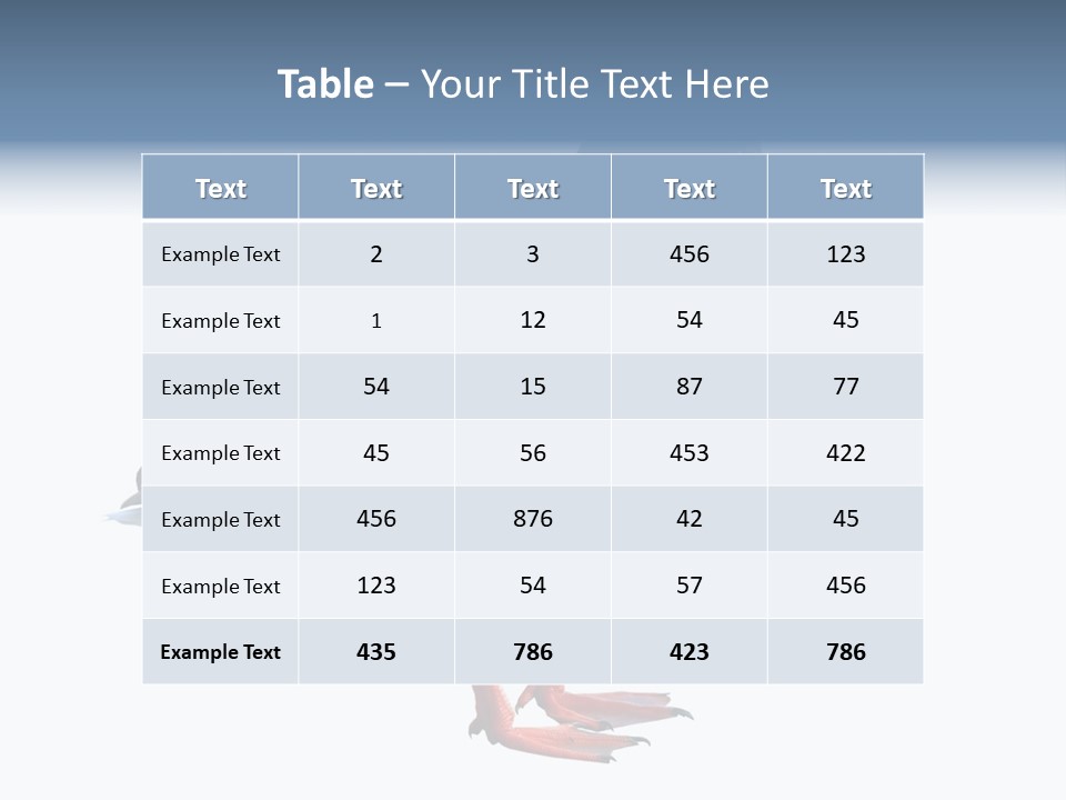 Common Duck-Isolated PowerPoint Template