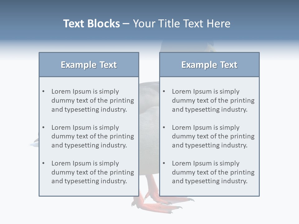Common Duck-Isolated PowerPoint Template