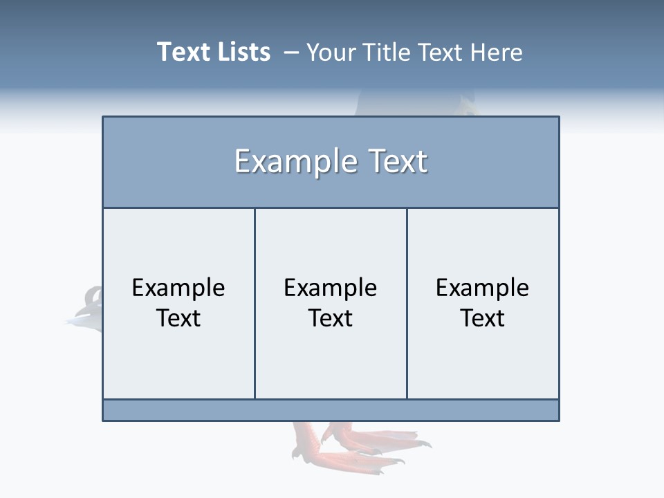 Common Duck-Isolated PowerPoint Template
