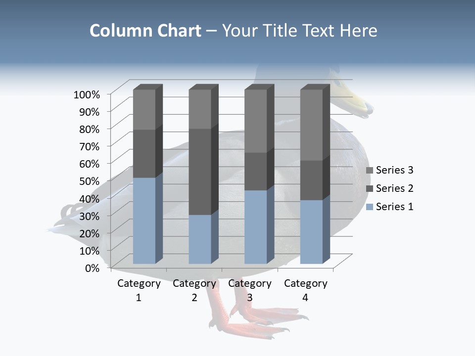 Common Duck-Isolated PowerPoint Template