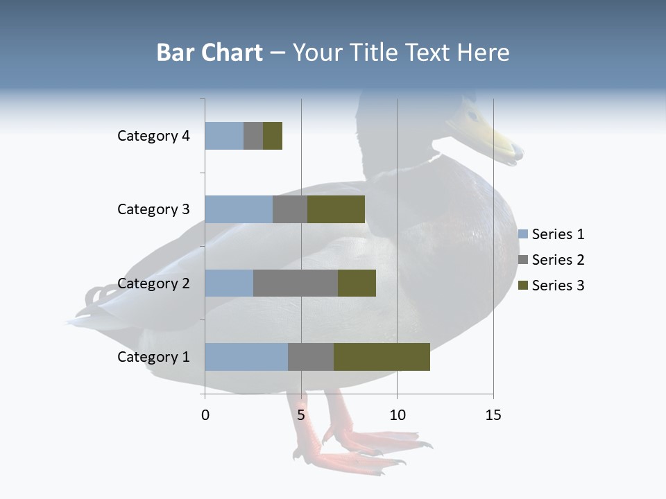 Common Duck-Isolated PowerPoint Template