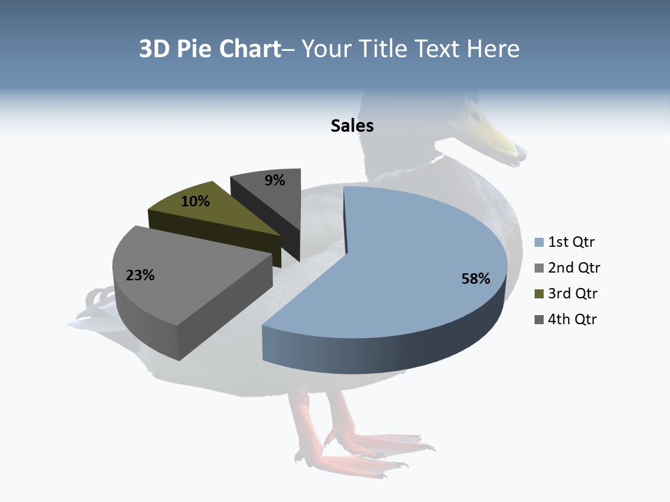 Common Duck-Isolated PowerPoint Template