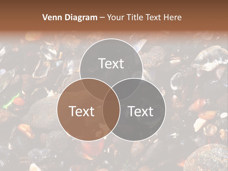 Glass Beach Located At Fort Bragg, California Macro View PowerPoint Template