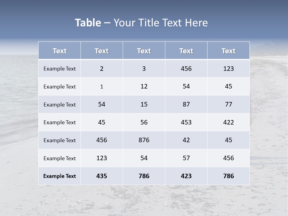 Photographer On Beach PowerPoint Template