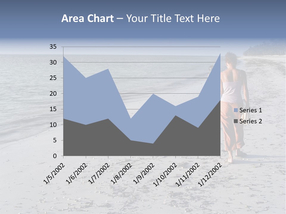 Photographer On Beach PowerPoint Template