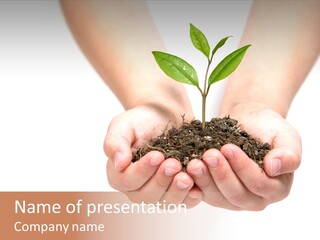 A Person Holding A Small Plant In The Studio PowerPoint Template