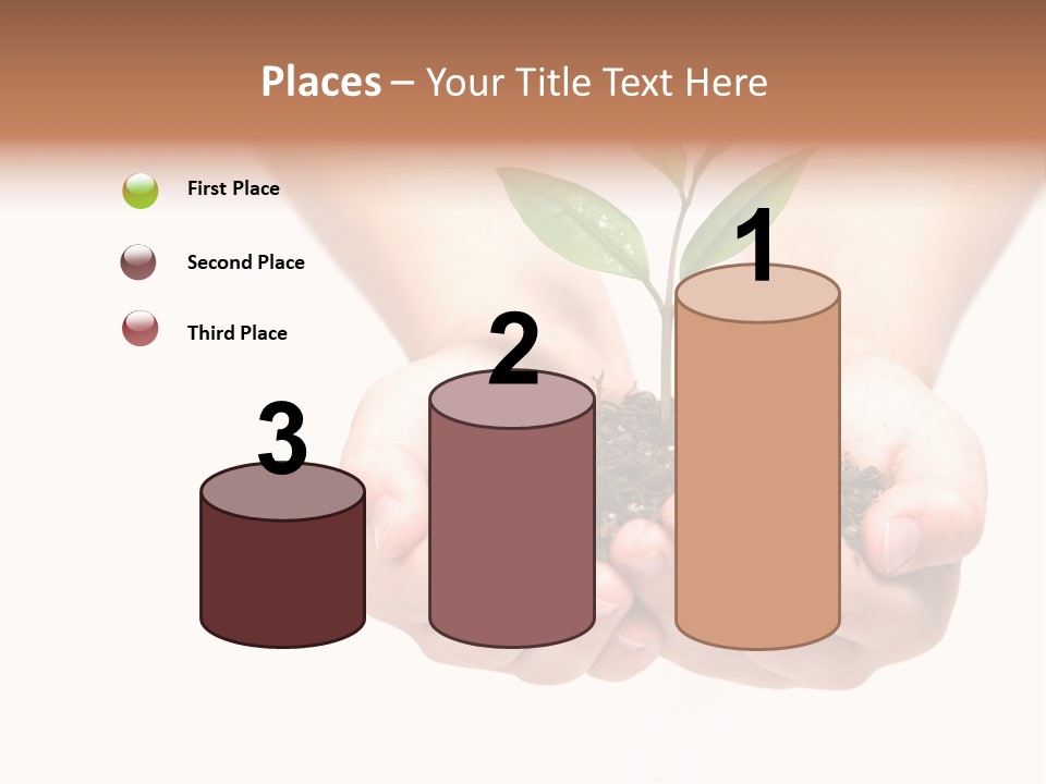 A Person Holding A Small Plant In The Studio PowerPoint Template