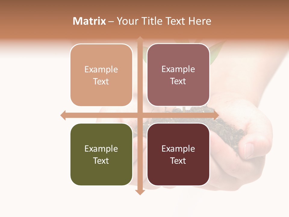 A Person Holding A Small Plant In The Studio PowerPoint Template