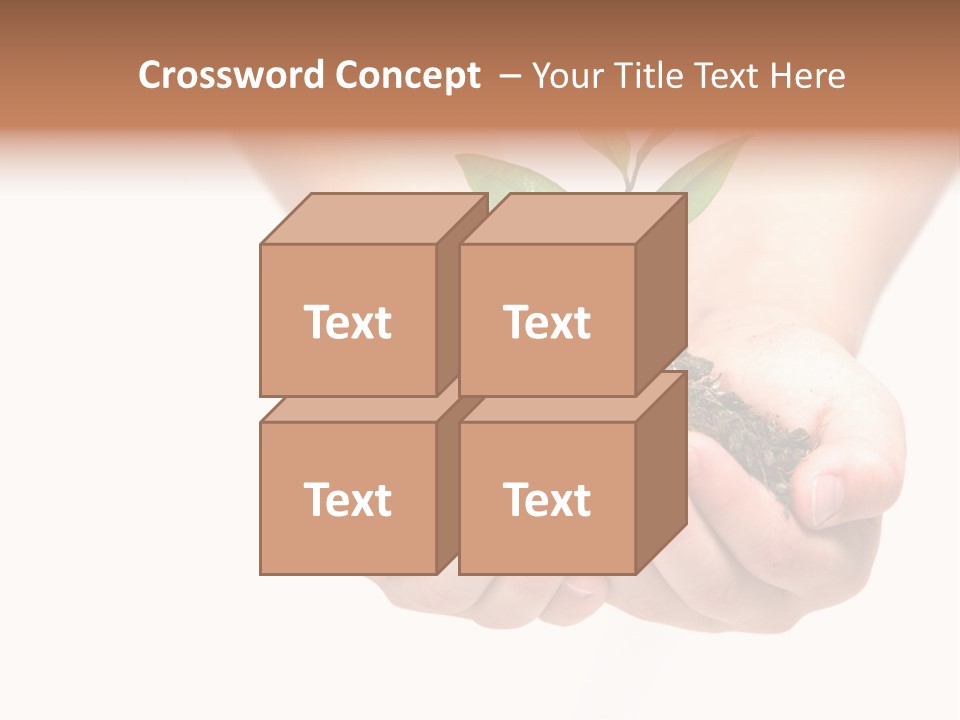 A Person Holding A Small Plant In The Studio PowerPoint Template