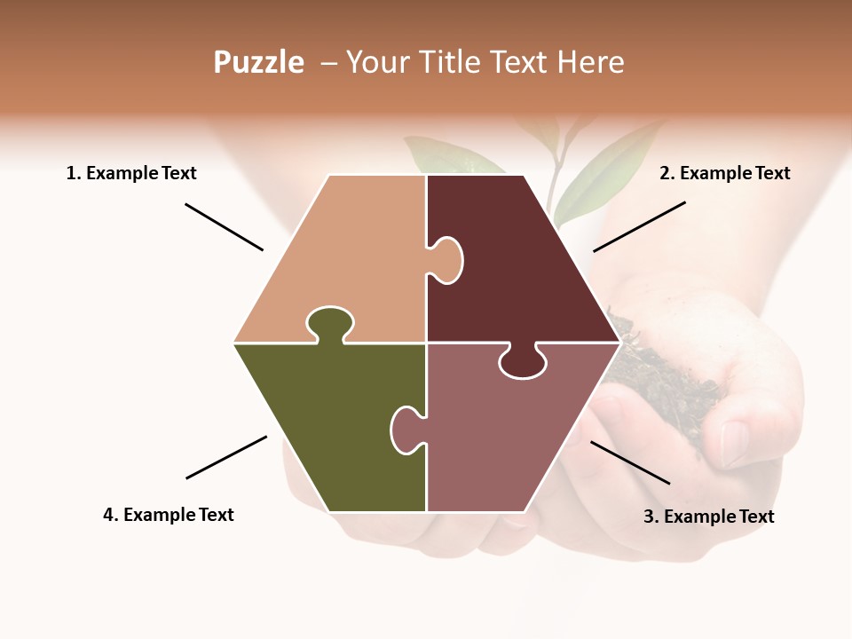 A Person Holding A Small Plant In The Studio PowerPoint Template