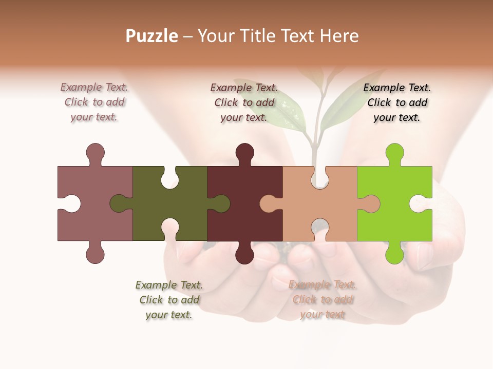 A Person Holding A Small Plant In The Studio PowerPoint Template