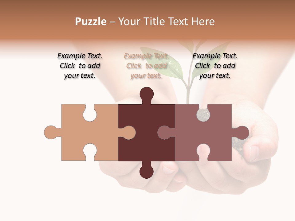 A Person Holding A Small Plant In The Studio PowerPoint Template