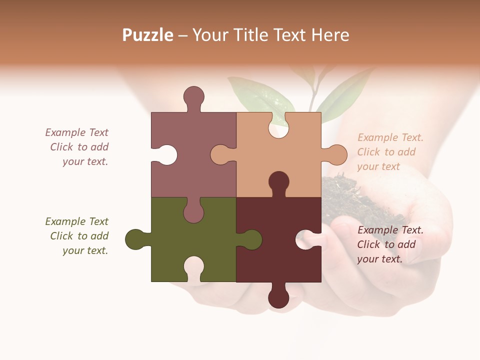 A Person Holding A Small Plant In The Studio PowerPoint Template