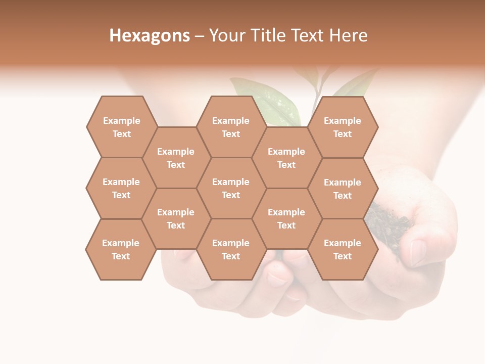 A Person Holding A Small Plant In The Studio PowerPoint Template