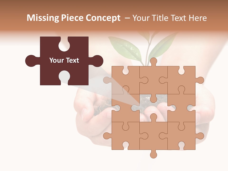 A Person Holding A Small Plant In The Studio PowerPoint Template