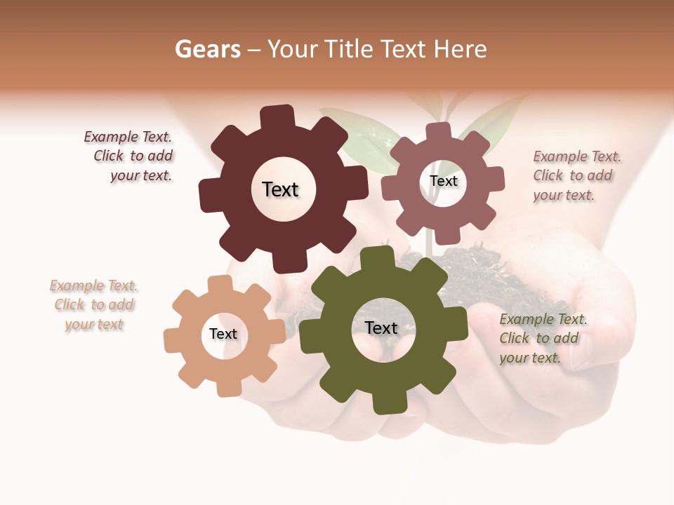 A Person Holding A Small Plant In The Studio PowerPoint Template