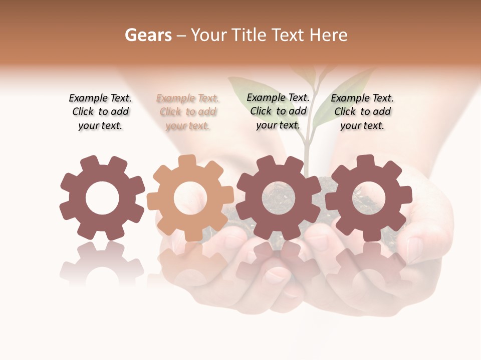 A Person Holding A Small Plant In The Studio PowerPoint Template