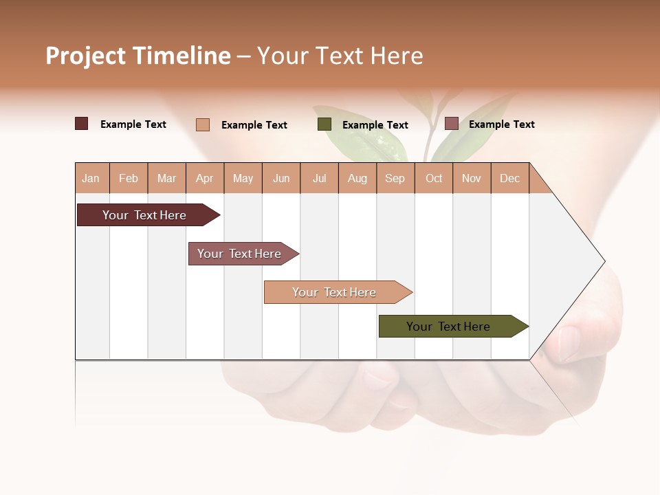A Person Holding A Small Plant In The Studio PowerPoint Template