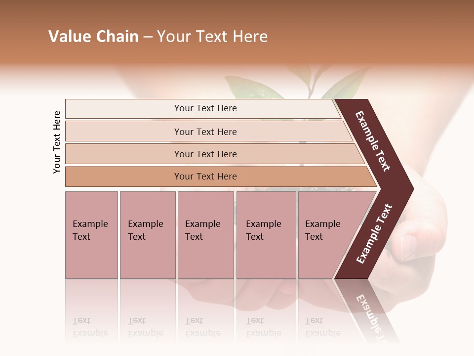 A Person Holding A Small Plant In The Studio PowerPoint Template