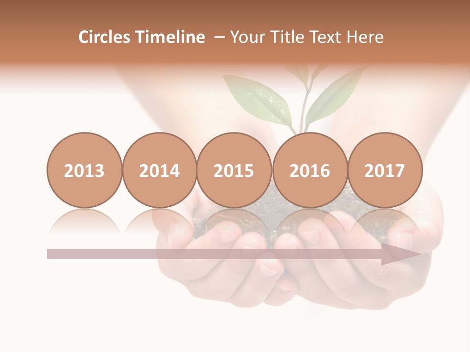 A Person Holding A Small Plant In The Studio PowerPoint Template