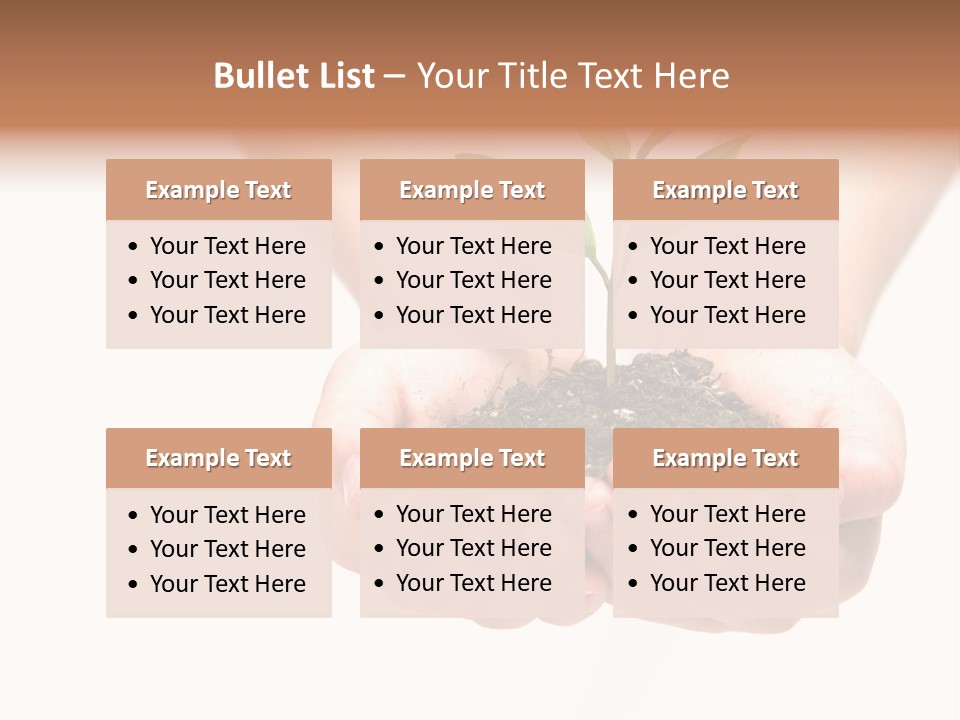 A Person Holding A Small Plant In The Studio PowerPoint Template