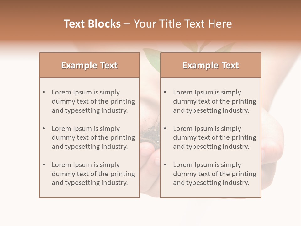 A Person Holding A Small Plant In The Studio PowerPoint Template