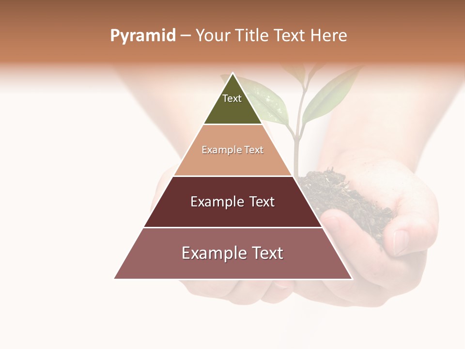 A Person Holding A Small Plant In The Studio PowerPoint Template