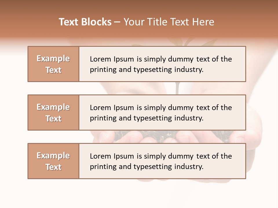 A Person Holding A Small Plant In The Studio PowerPoint Template