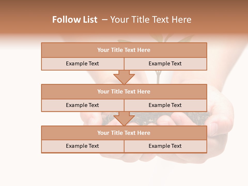 A Person Holding A Small Plant In The Studio PowerPoint Template