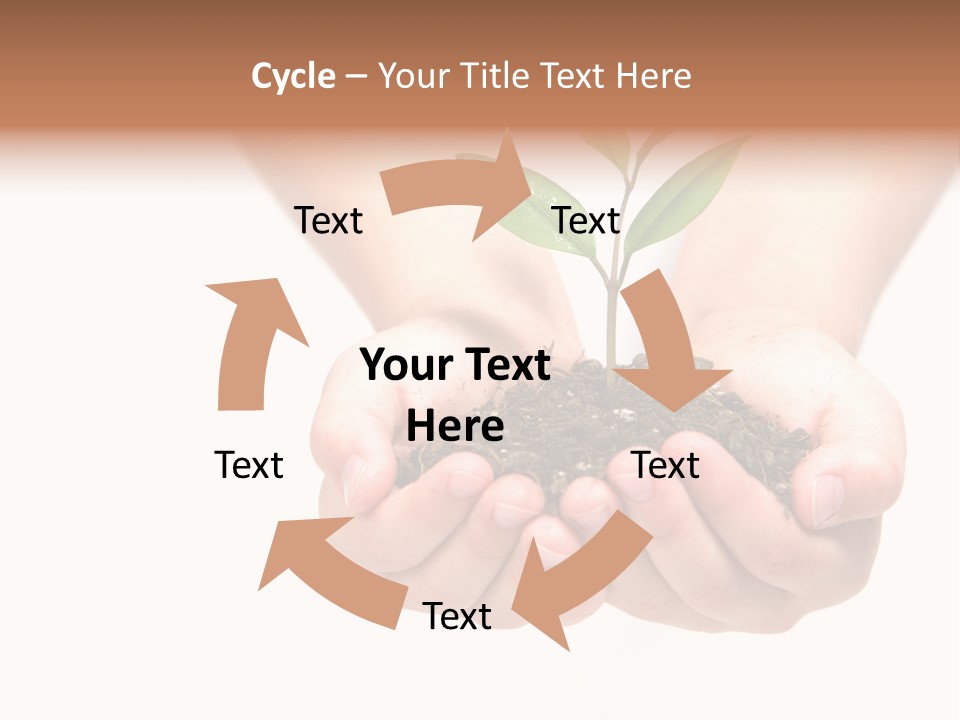 A Person Holding A Small Plant In The Studio PowerPoint Template