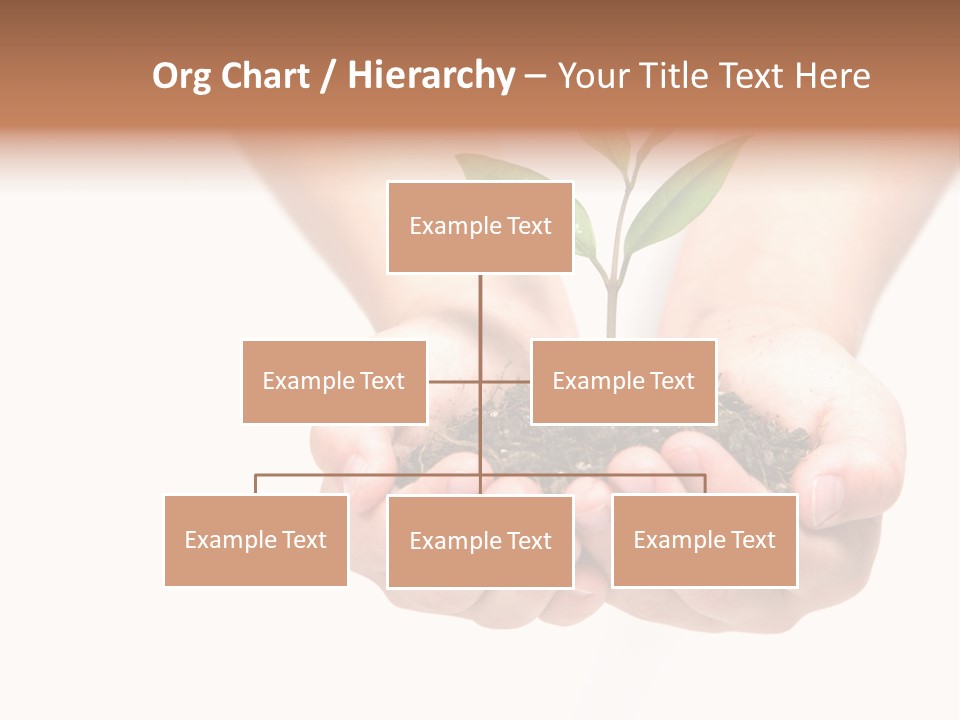 A Person Holding A Small Plant In The Studio PowerPoint Template