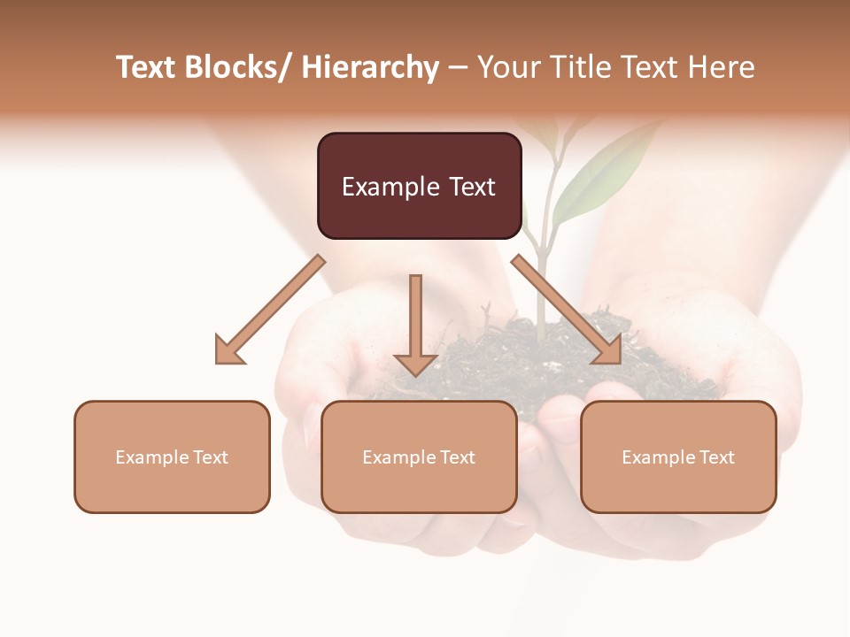 A Person Holding A Small Plant In The Studio PowerPoint Template