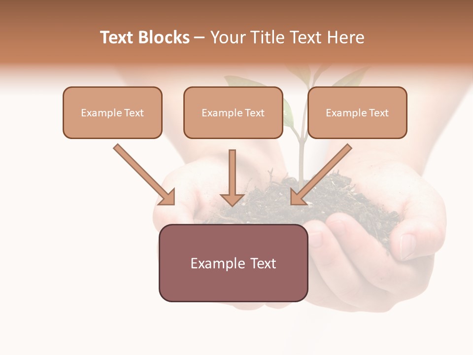 A Person Holding A Small Plant In The Studio PowerPoint Template