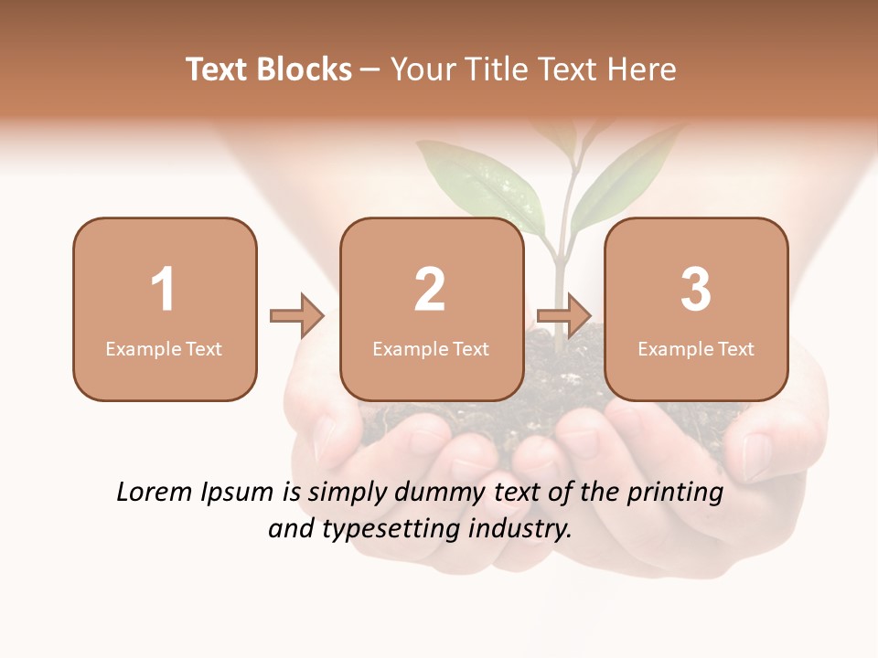 A Person Holding A Small Plant In The Studio PowerPoint Template