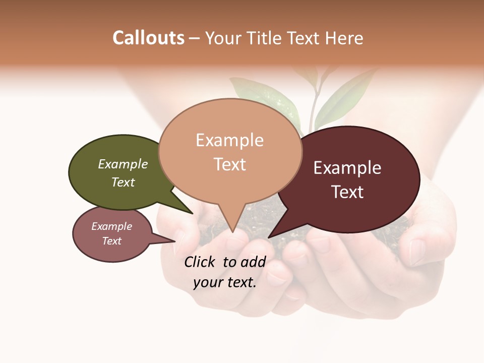 A Person Holding A Small Plant In The Studio PowerPoint Template