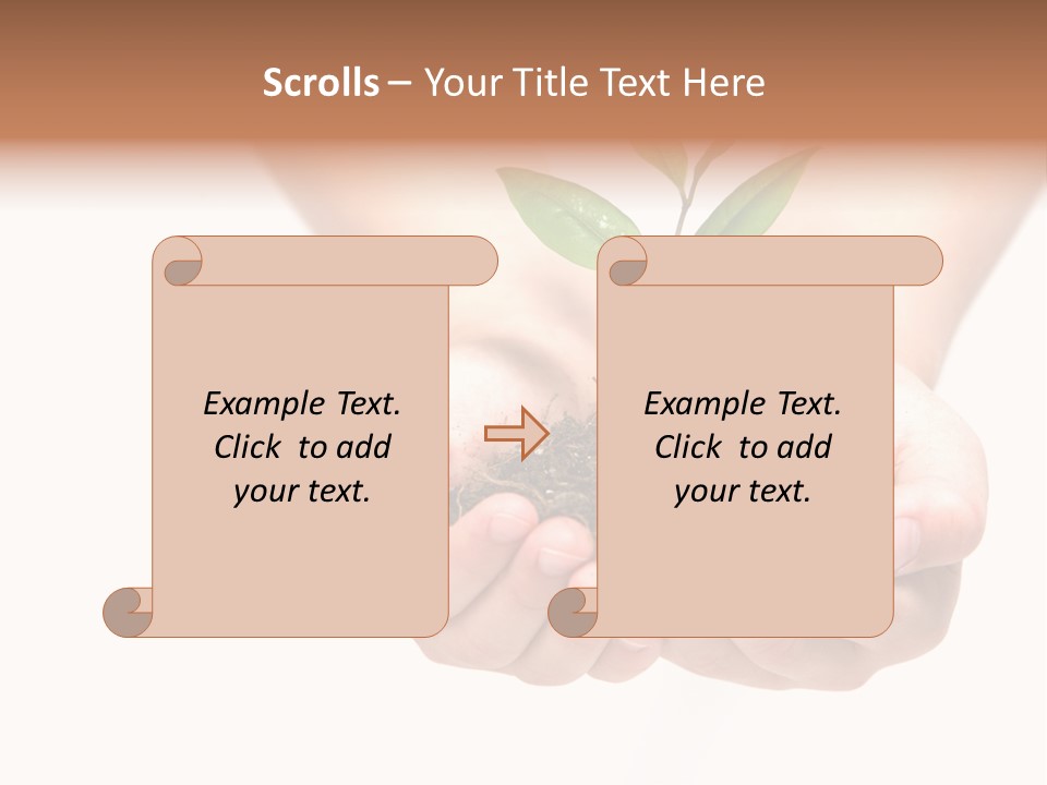 A Person Holding A Small Plant In The Studio PowerPoint Template