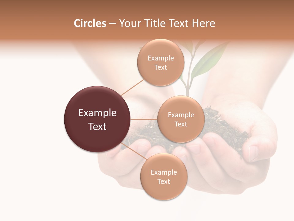 A Person Holding A Small Plant In The Studio PowerPoint Template