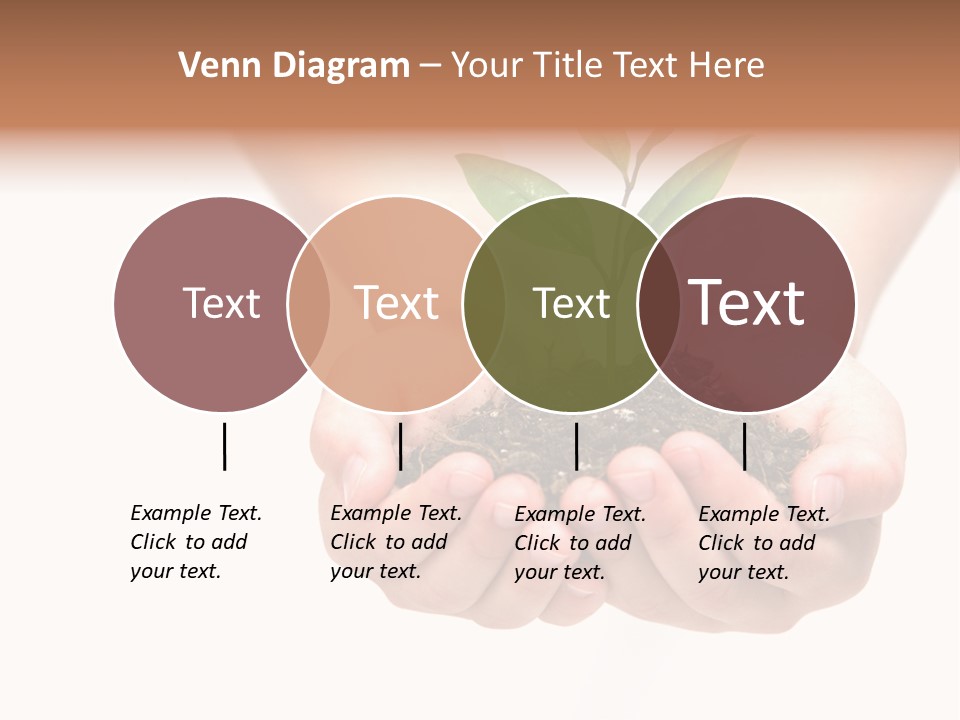 A Person Holding A Small Plant In The Studio PowerPoint Template