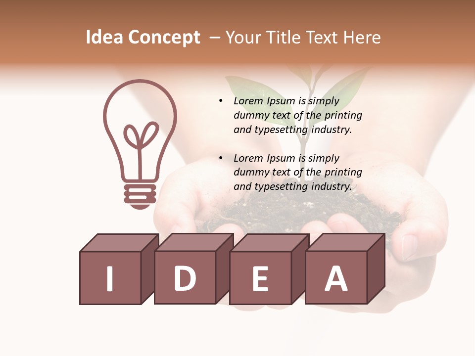 A Person Holding A Small Plant In The Studio PowerPoint Template